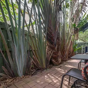 Nawlins Vibe With Rooftop Verandah Near Riverwalk And Downtown Holiday home Tampa